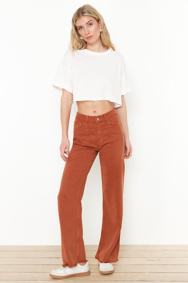 Trendyol Trendyol Brown 100% Tencel™ High Waist Wide Leg Jeans with Stitching Detail