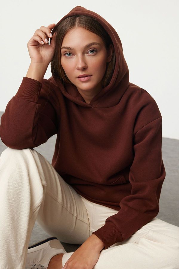 Trendyol Trendyol Brown Hooded Regular/Normal Pattern Knitted Sweatshirt