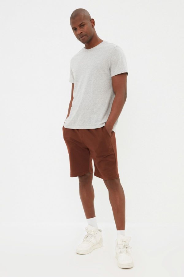 Trendyol Trendyol Brown Men's Regular/Real Fit Shorts