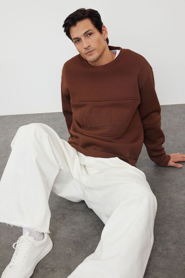 Trendyol Trendyol Brown Oversize/Wide Cut Text Embroidered Crew Neck Sweatshirt