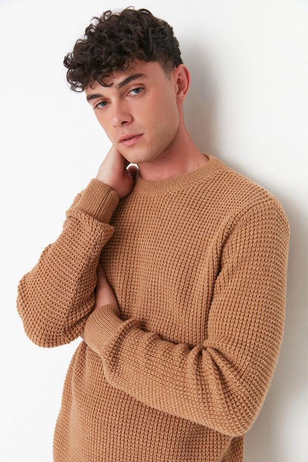 Trendyol Trendyol Camel Regular Fit Crew Neck Textured Basic Knitwear Sweater