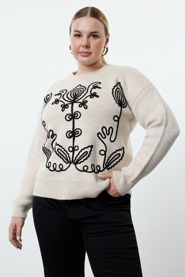 Trendyol Trendyol Curve Beige Embroidery Detailed Crew Neck Knitwear Sweater