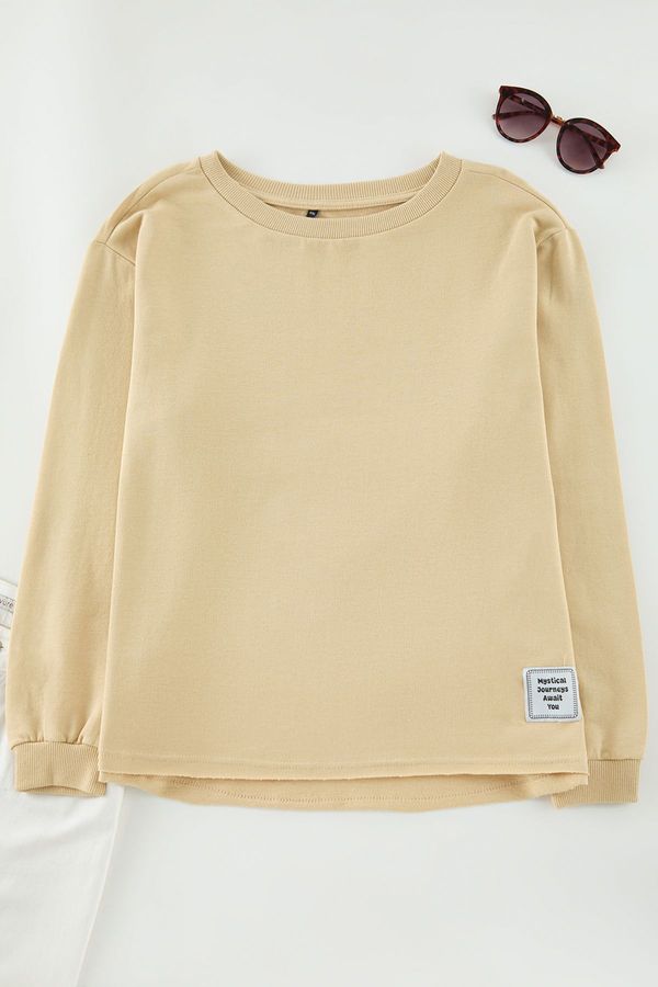 Trendyol Trendyol Curve Beige Regular/Normal Pattern Crew Neck Knitted Plus Size Sweatshirt