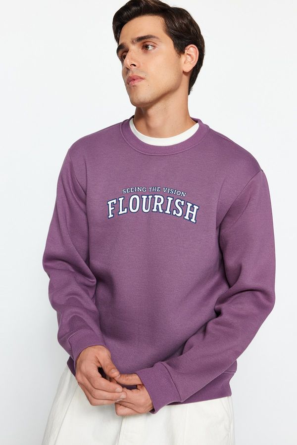 Trendyol Trendyol Dark Lilac Regular/Normal Cut Text Printed Sweatshirt with Fleece Inside