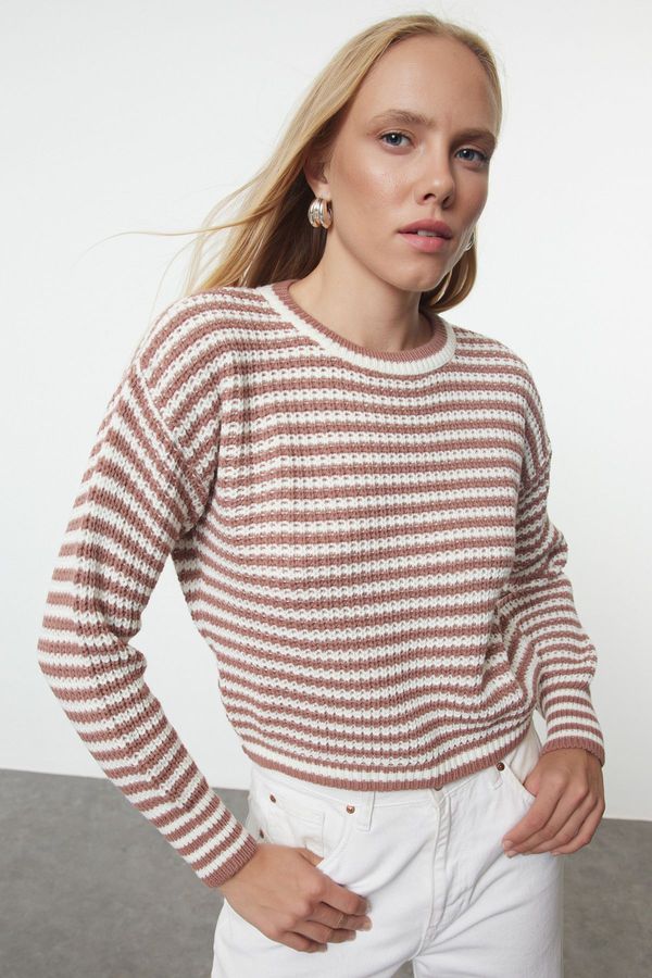 Trendyol Trendyol Dusty Rose Crop Striped Knitwear Sweater