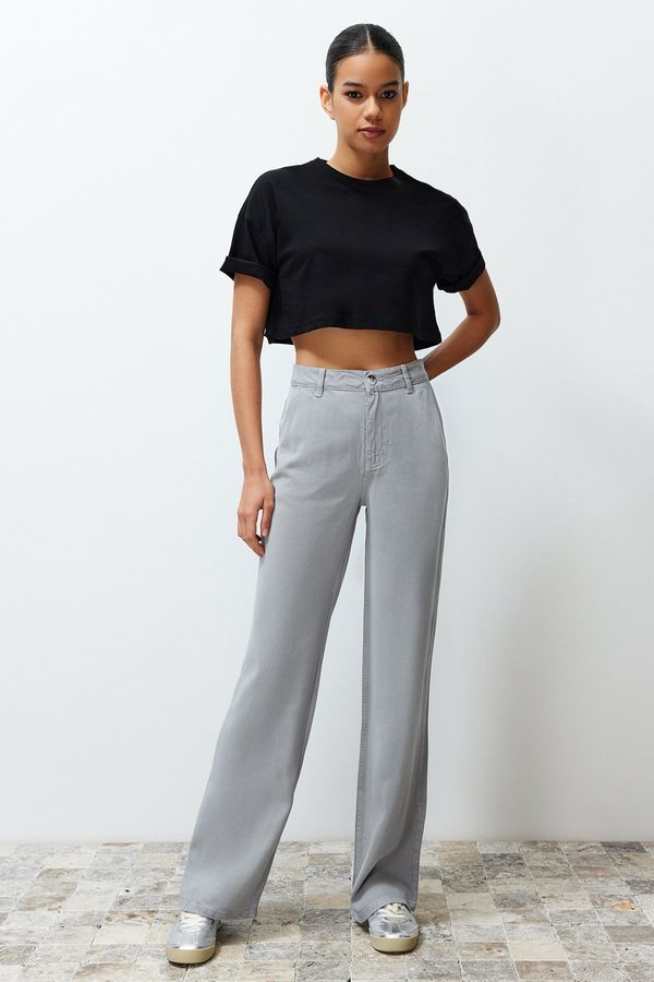 Trendyol Trendyol Gray More Sustainable 100% Tencel™ Low Waist Wide Leg Jeans