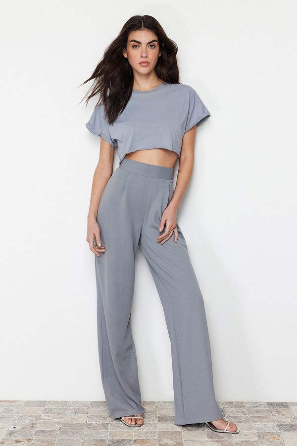 Trendyol Trendyol Gray Pleated Wide Leg/Comfort Fit Trousers