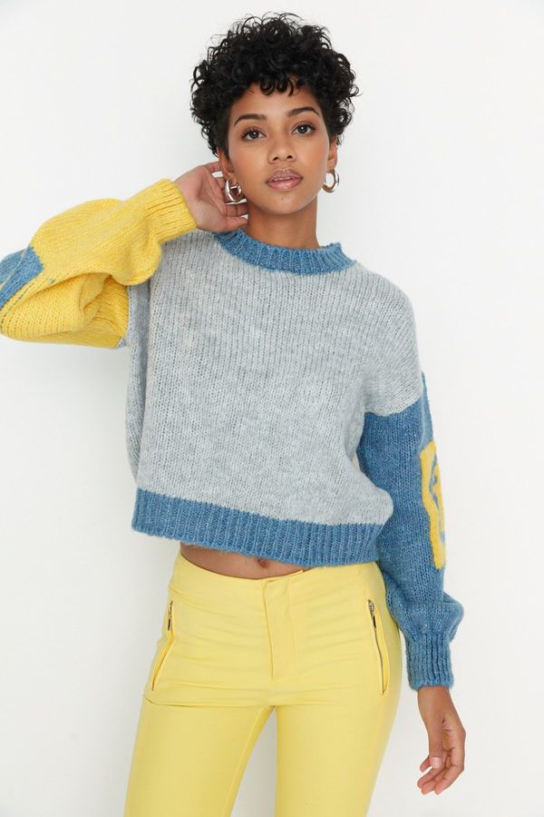 Trendyol Trendyol Gray Soft Textured Color Block Knitwear Sweater