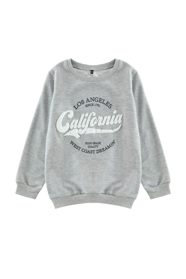 Trendyol Trendyol Grey Melange Slogan Cotton Knitted Sweatshirt