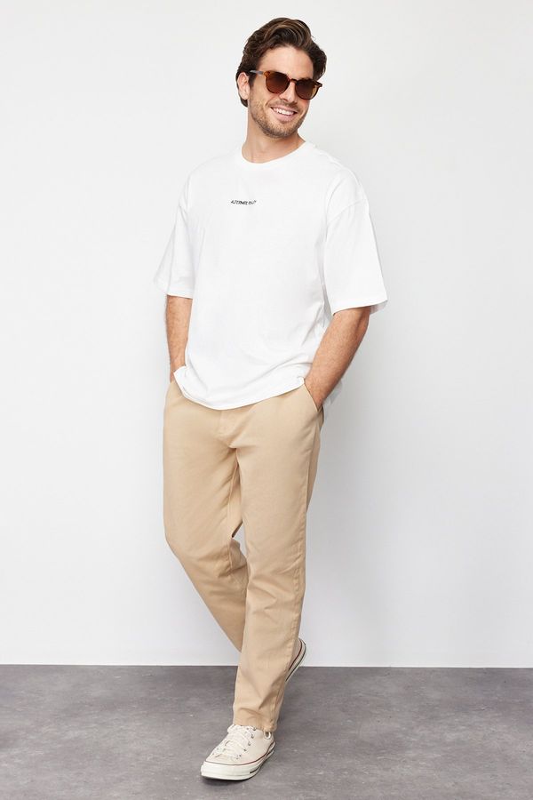 Trendyol Trendyol Limited Edition Mink Regular Fit Pleated Detailed Soft Touch Chino Trousers