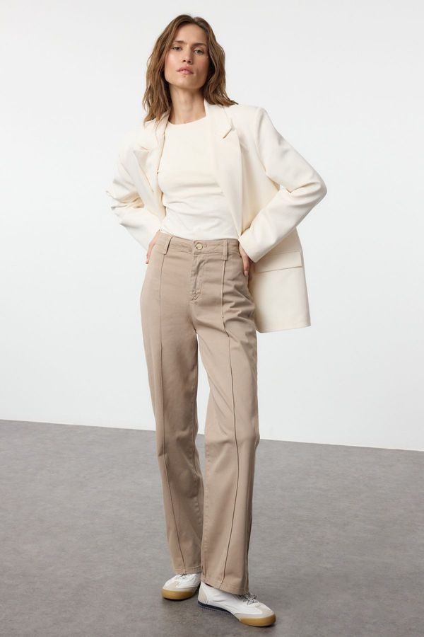 Trendyol Trendyol Mink Stitch Detailed High Waist Wide Leg Trousers