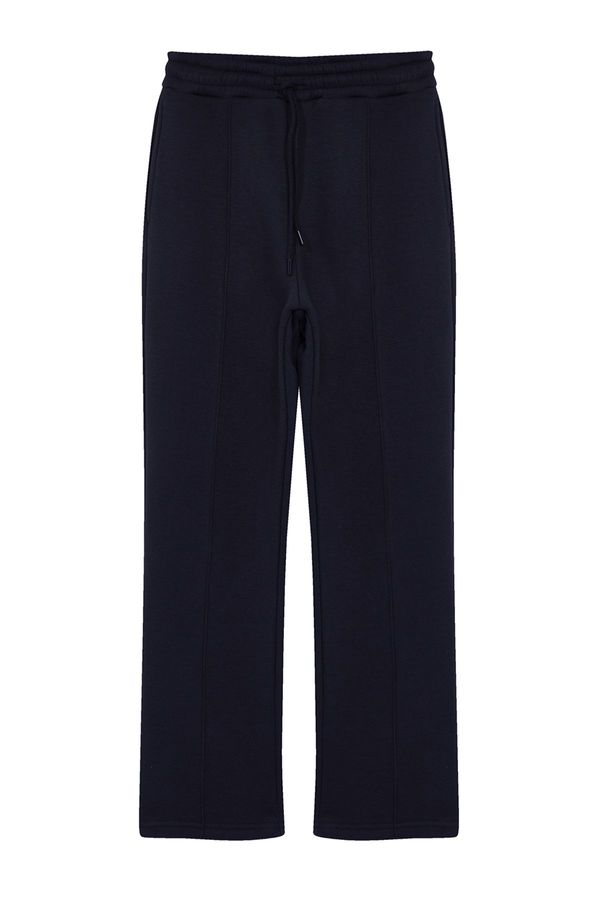 Trendyol Trendyol Navy Blue Regular/Straight Cut Thick Sweatpants with Stitching Detail