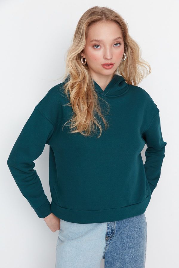 Trendyol Trendyol Petrol Regular/Normal fit Basic Hoody, Fleece Inner Knitted Sweatshirt