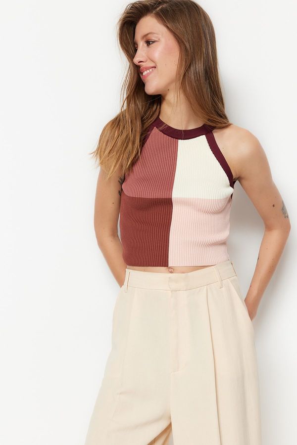 Trendyol Trendyol Plum Crop Color Block Knitwear Blouse