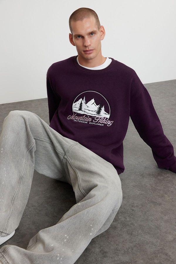 Trendyol Trendyol Purple Oversize/Wide Cut Embroidered Sweatshirt with Fleece Inside