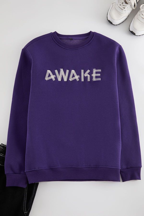 Trendyol Trendyol Purple Oversize/Wide Cut Fleece Embroidered Sweatshirt