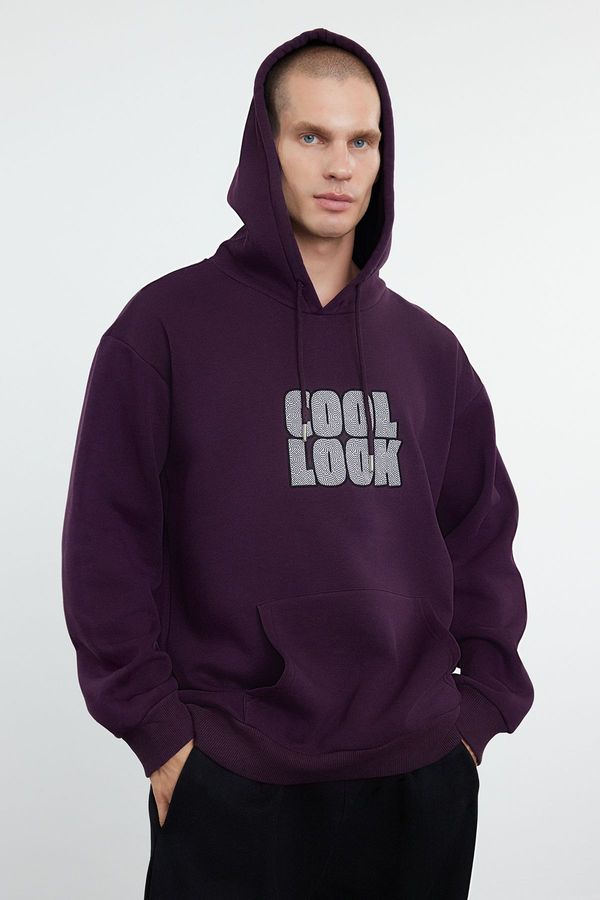 Trendyol Trendyol Purple Oversize/Wide Cut Hooded Sweatshirt with Polar Fleece Embroidery