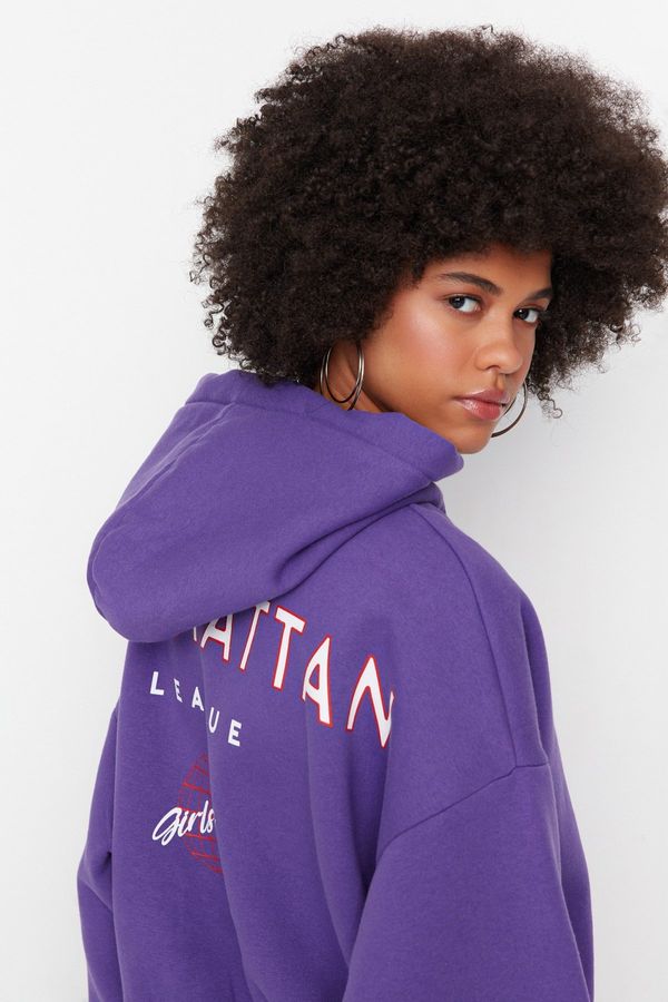 Trendyol Trendyol Purple Print Detailed Hoodie, Fleece Inner Knitted Sweatshirt