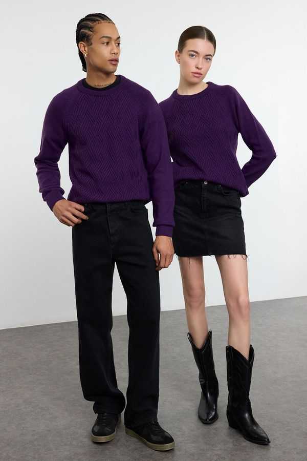 Trendyol Trendyol Purple Unisex Slim Woolen Crew Neck Textured Knitwear Sweater