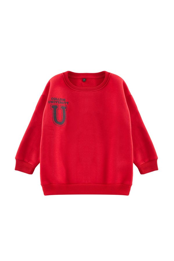 Trendyol Trendyol Red Boy Basic Crew Neck Cotton Knitted Sweatshirt