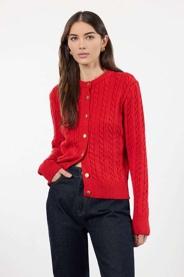 Trendyol Trendyol Red Premium Yarn/Special Yarn Knit Detailed Jacket-Looking Knitwear Cardigan