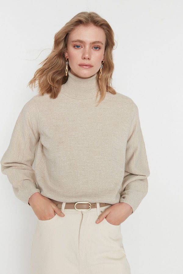 Trendyol Trendyol Stone Basic Turtleneck Knitwear Sweater