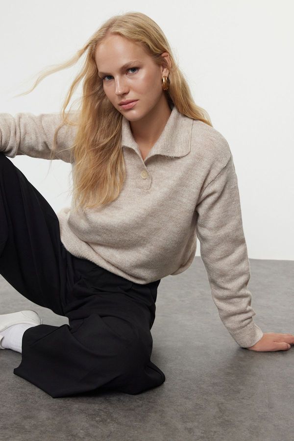 Trendyol Trendyol Stone More Sustainable Polo Neck Knitted Sweater