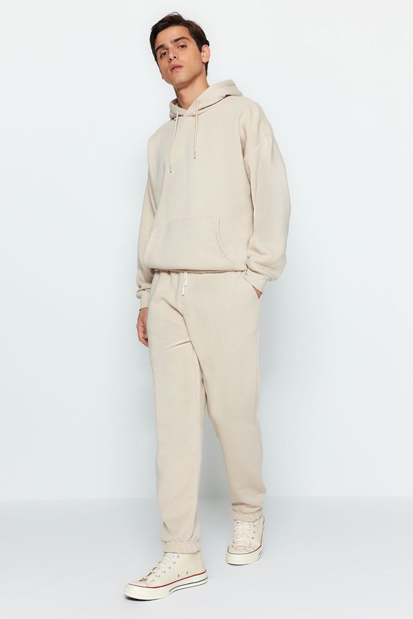 Trendyol Trendyol Stone Oversize/Wide Cut Hooded Fleece Inside/Warm Sweatshirt Tracksuit