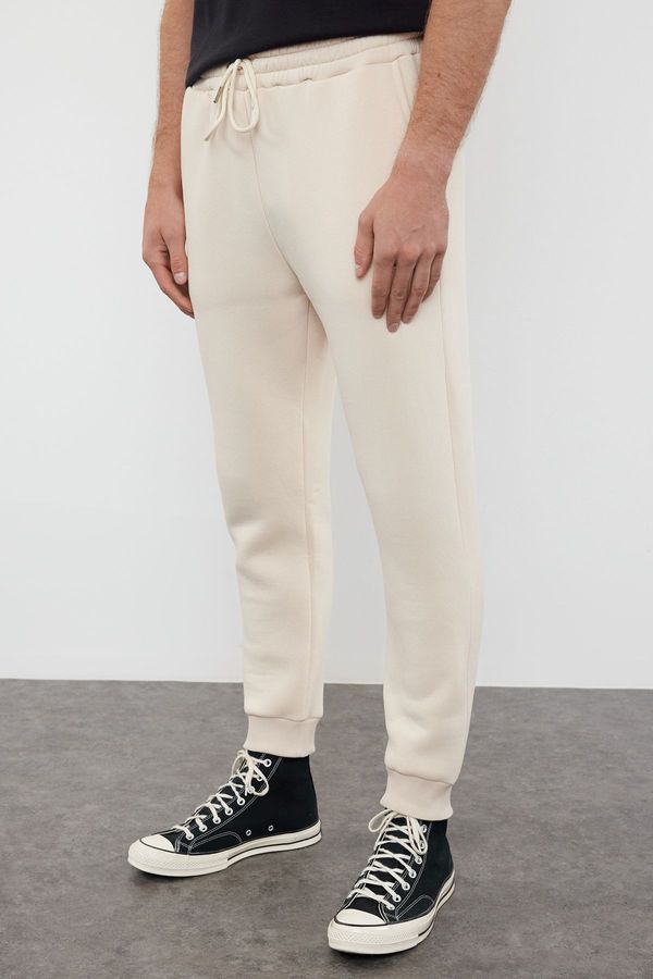 Trendyol Trendyol Stone Regular/Normal Cut Sweatpants