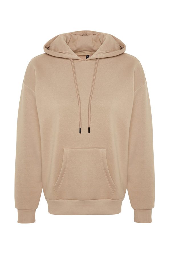 Trendyol Trendyol Thick Mink, Fleece Inside Oversize/Wide Fit with a Hooded Basic Knitted Sweatshirt