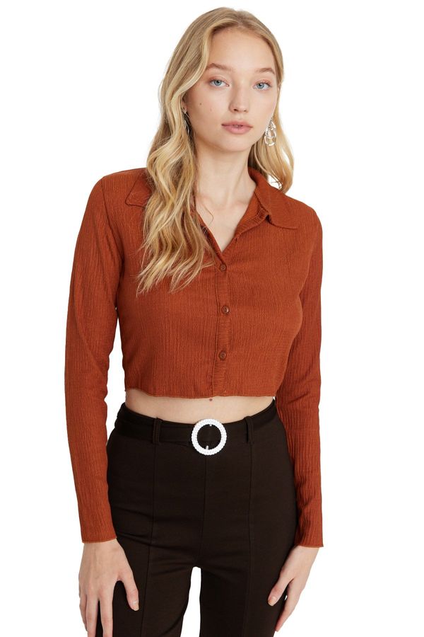 Trendyol Trendyol Tile Buttoned Fitted/Situated Polo Neck Crepe/Textured Crop Knitted Blouse