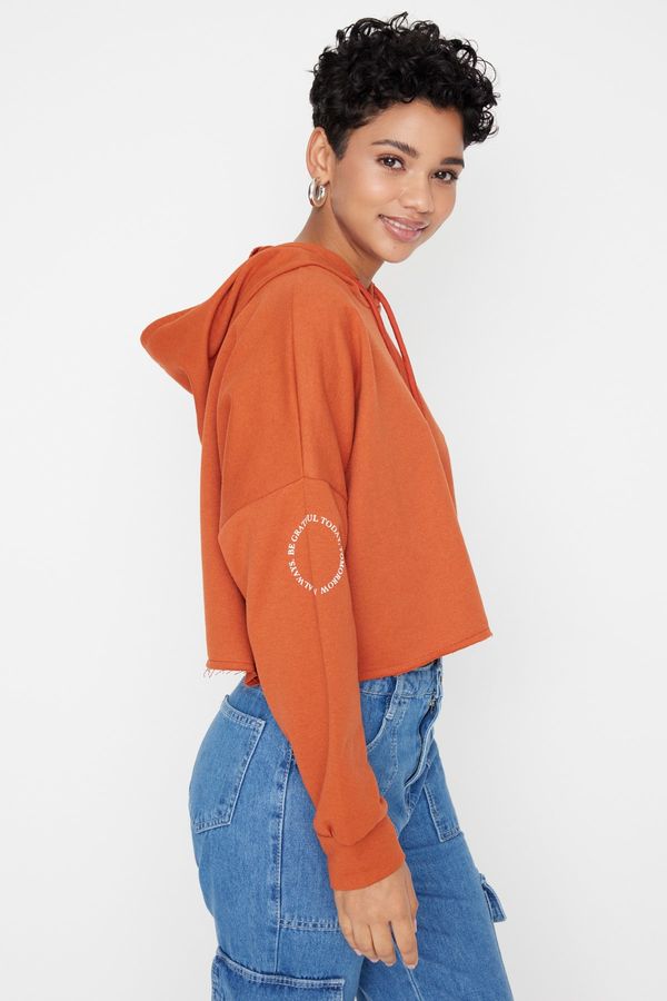 Trendyol Trendyol Tile Hooded Thick Crop Knitted Sweatshirt