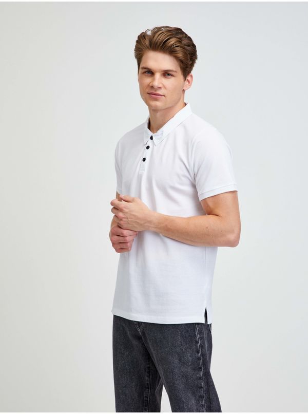 ALPINE PRO White Mens Polo T-Shirt Alpine Pro Sedar - Men