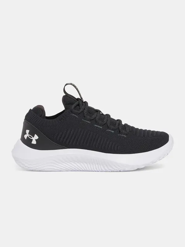 Under Armour Women's shoes Under Armour UA W Dynamic 2 - Women's