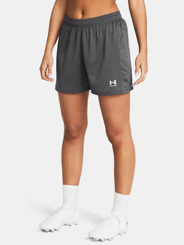 Under Armour Women's shorts Under Armour UA W's Ch. Knit Short-GRY - Women's