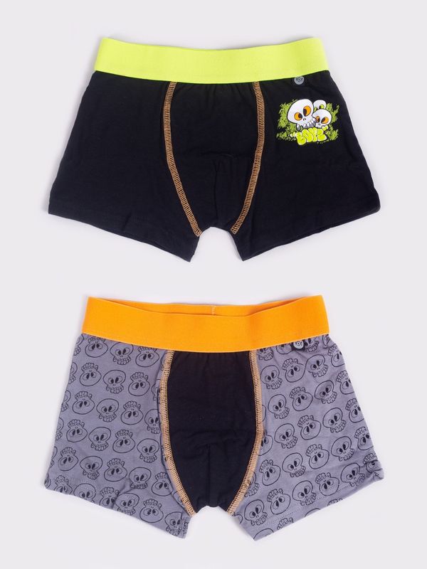 Yoclub Yoclub Kids's 2Pack Boy's Boxer Briefs BMB-0015C-AA30