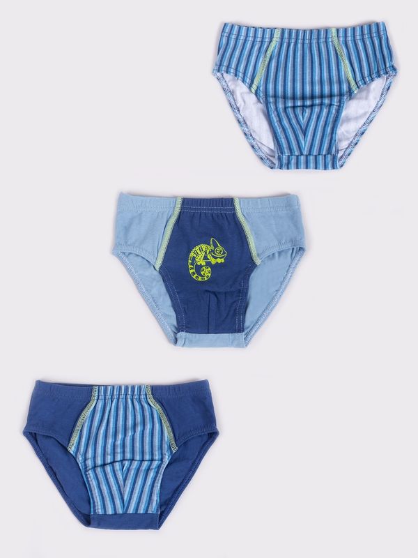 Yoclub Yoclub Kids's 3Pack Boys' Briefs BMC-0033C-AA30-001