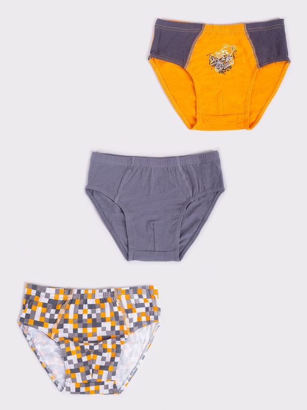 Yoclub Yoclub Kids's 3Pack Boys' Briefs BMC-0033C-AA30-002