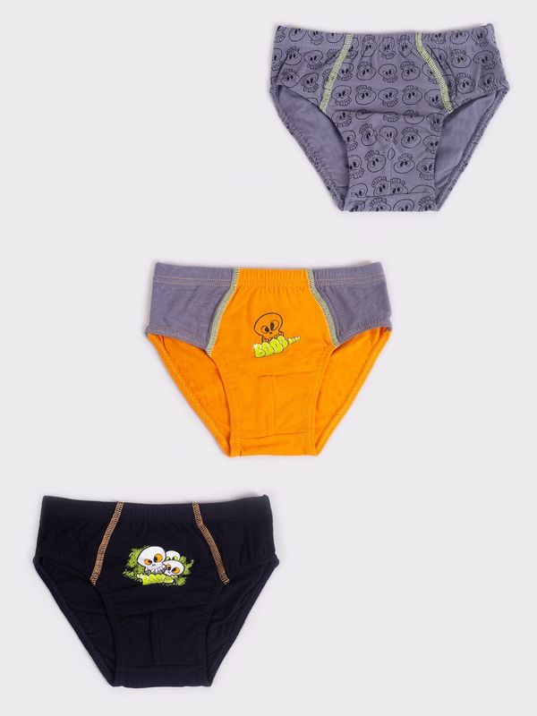 Yoclub Yoclub Kids's 3Pack Boys' Briefs BMC-0034C-AA20-001