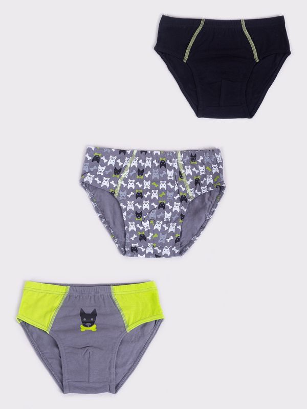 Yoclub Yoclub Kids's 3Pack Boys' Briefs BMC-0034C-AA20-002