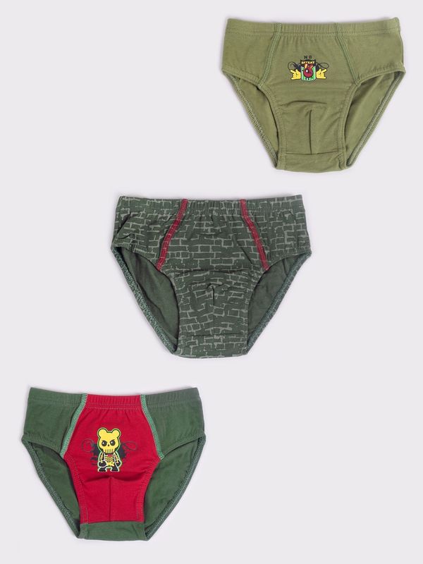 Yoclub Yoclub Kids's 3Pack Boys' Briefs BMC-0035C-AA10-001