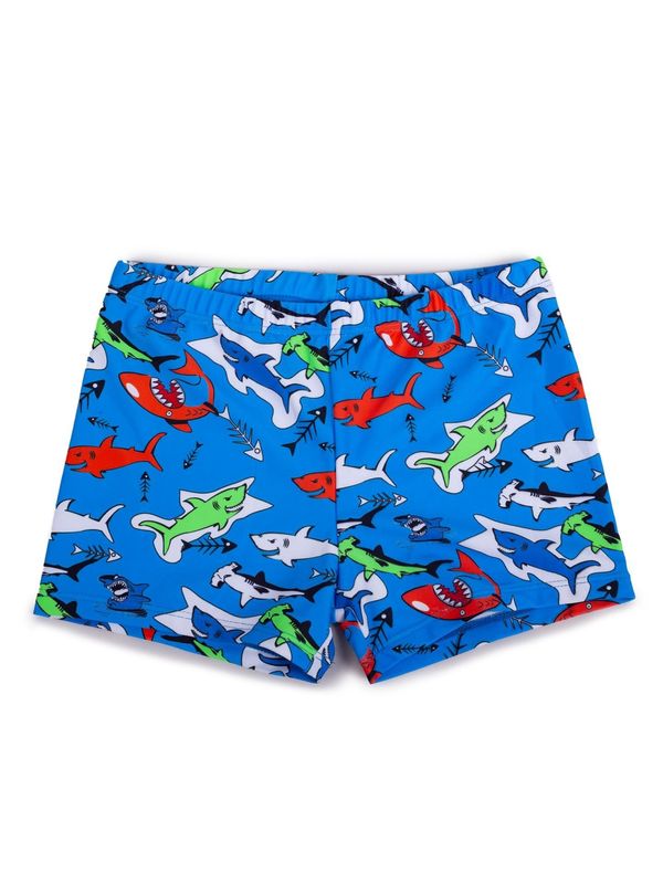 Yoclub Yoclub Kids's Boys' Swimming Shorts LKS-0060C-A100