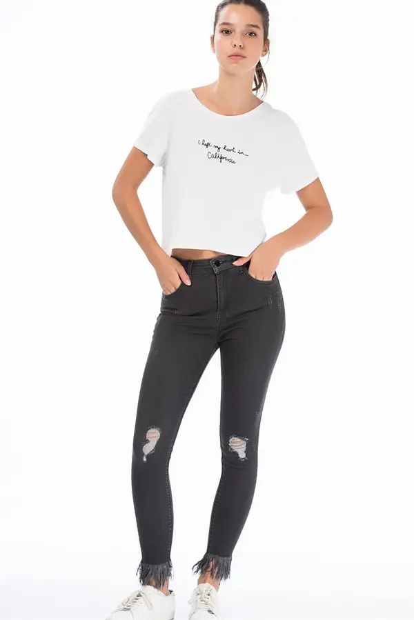 dewberry Z6336 DEWBERRY