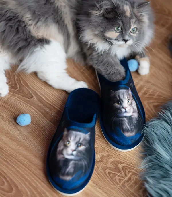 Natural Style Ženski copati Natural Style NS-128