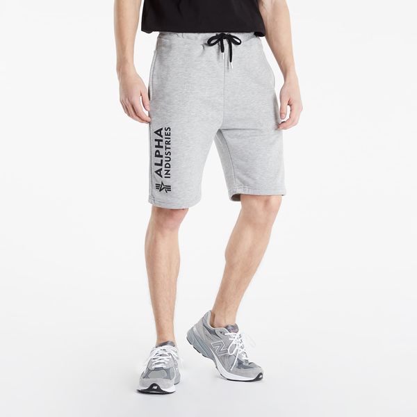 Alpha Industries Inc. Alpha Industries Basic Short AI Grey