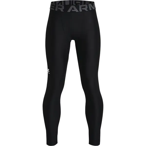 Under Armour Hlače Under Armour Y Hg Leggings Black XL-Y