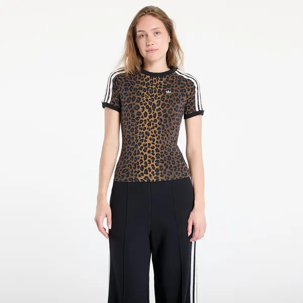 adidas Originals Majice adidas Cali Tee Multicolor S