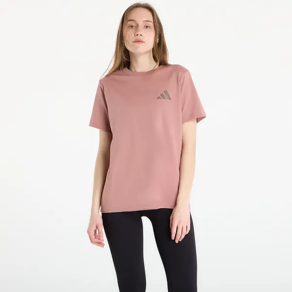 adidas Performance Majice adidas Terrex Multi Graphic T-Shirt Warm Clay XS