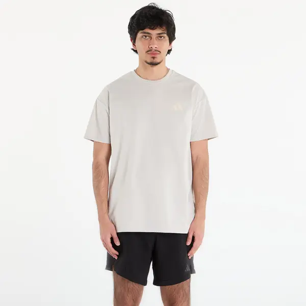 adidas Performance Majice adidas Terrex Xploric Climacool Graphic T-Shirt Wonder Alumina L
