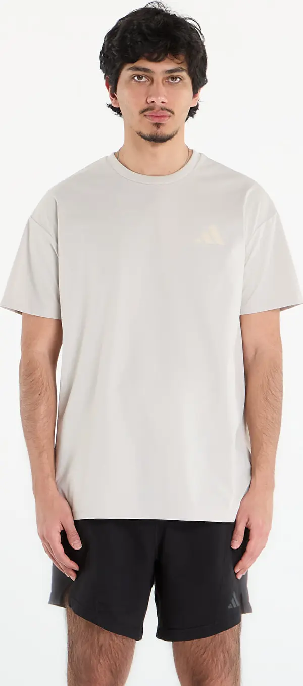 adidas Performance Majice adidas Terrex Xploric Climacool Graphic T-Shirt Wonder Alumina S